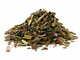 Greater Calendine Dried Herb Organic Wholesale Price 50g-30kg