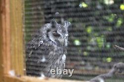 LIMITED EDITION ClearMesh30 Stainless Steel Knitted Wire Aviary Mesh