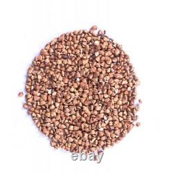 Organic Roasted Buckwheat 500G-10KG
