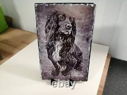 Personalised Custom Pet Cat Dog Horse Portrait Sketch Art Artist on Rock Slate