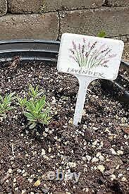 Plastic Plant Labels Pot Tags Garden Marker T Shape & Straight Labels & Pencil