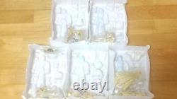Saint Seiya New Bronze Saint Cloth Limited Reprint Edition 5 Types Set Saint C