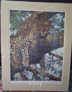Set Of 4 Limited Edition Signed Prints By Renowned Wildlife Artist Craig Roberts