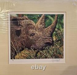 Set Of 4 Limited Edition Signed Prints By Renowned Wildlife Artist Craig Roberts