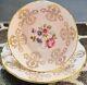 Vintage Pink Floral Royal Grafton Teacup And Saucer Set With Gold Accents Mint